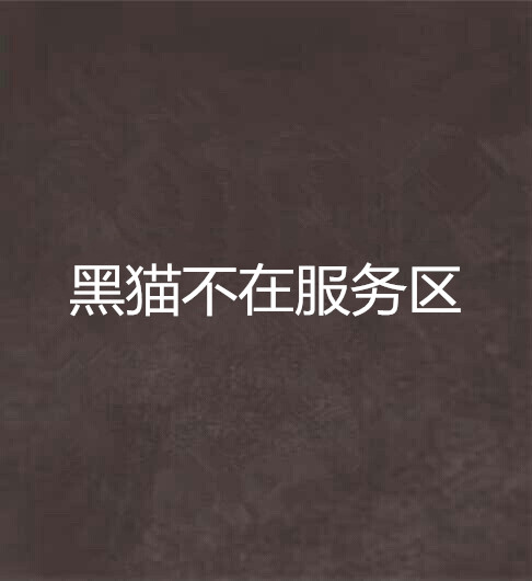 黑猫不在服务区
