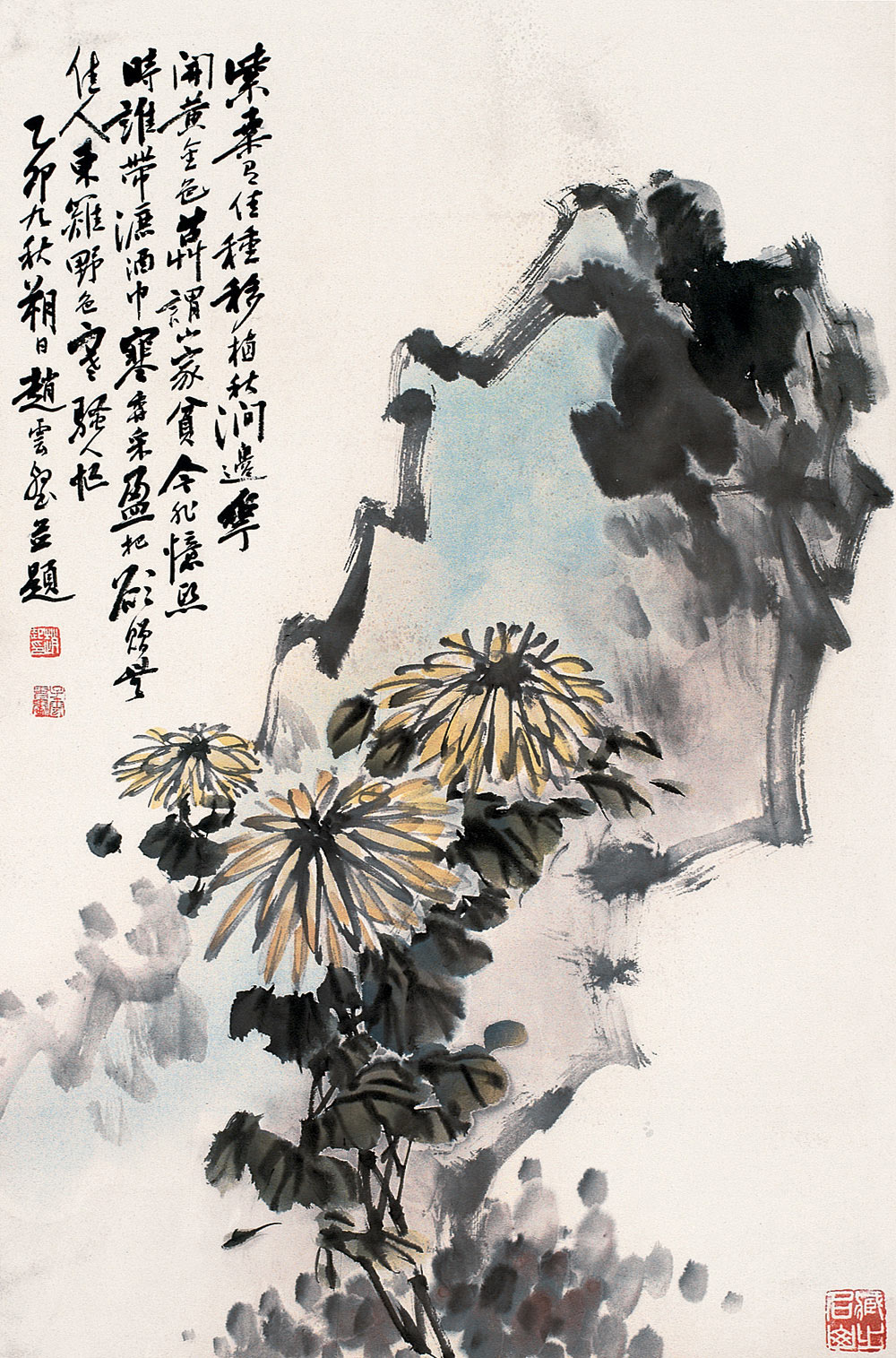 赵子云 全网资源