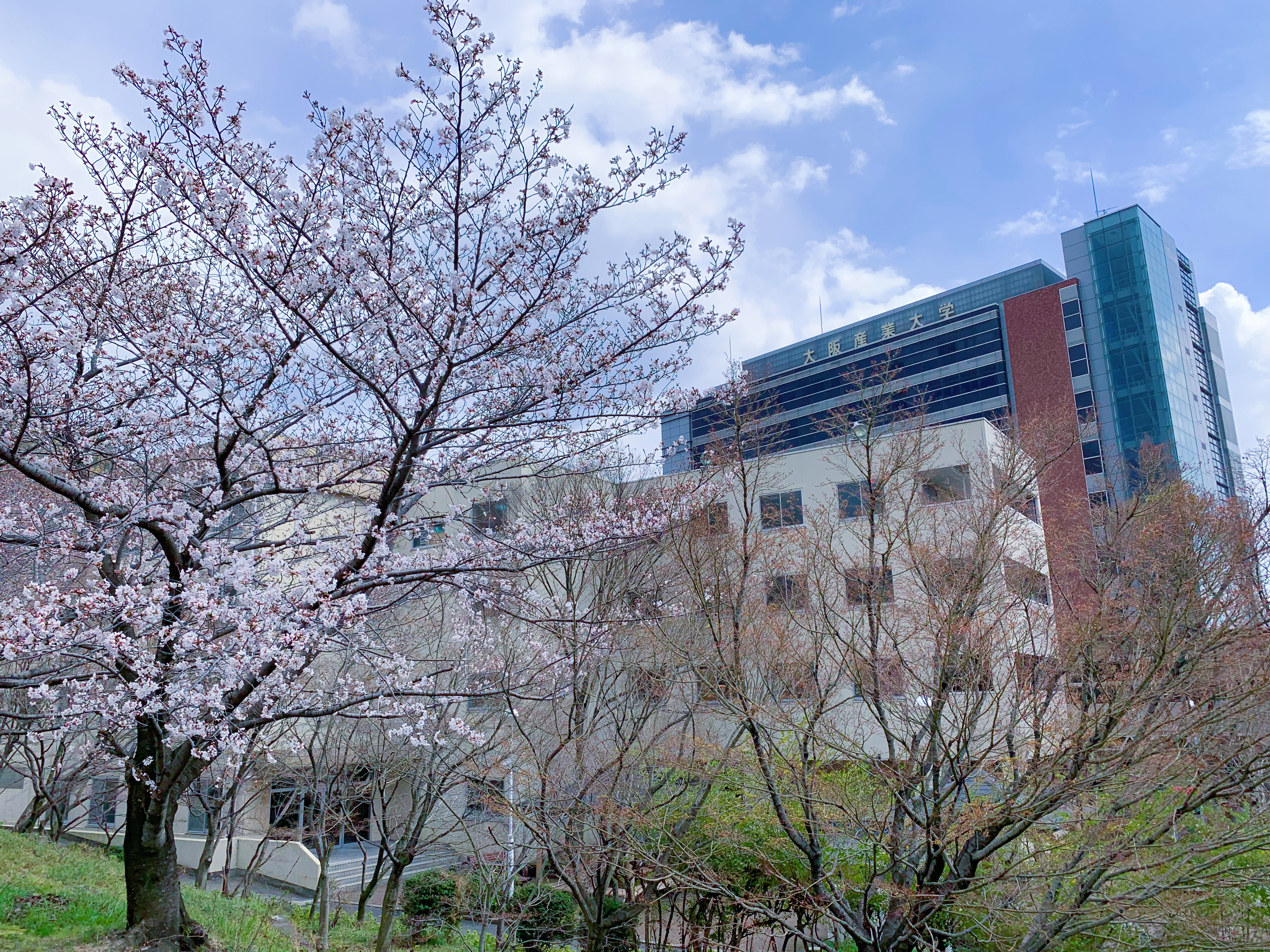  p>大阪产业大学(日文平假名:おおさかさんぎょうだいがく,英文名称