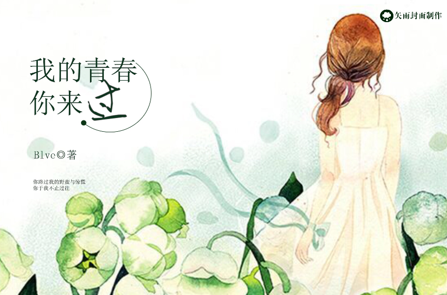 我的青春你来过