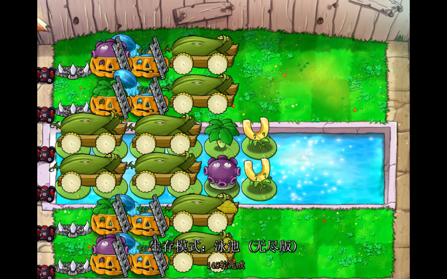  p data-id="tz61ohdlftmr">萝卜伞(umbrella leaf),又称叶子保护伞或