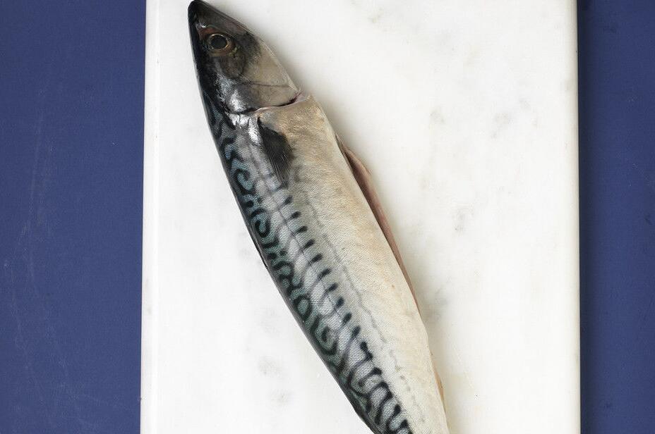  p>鬼刀鱼原产于 a target="_blank" href="/i