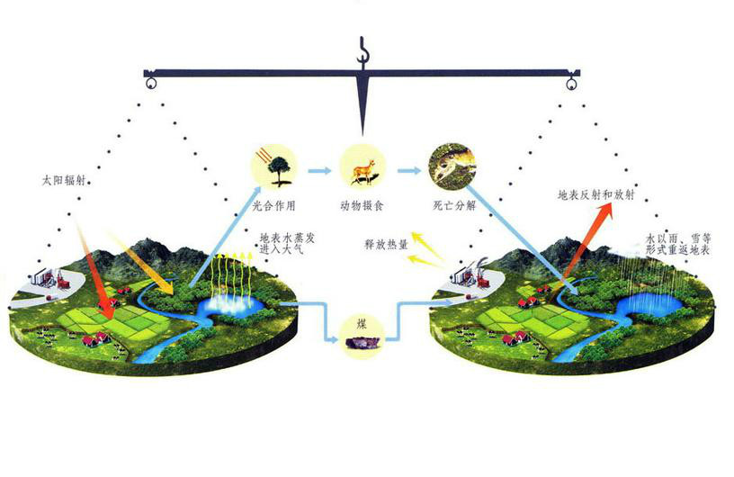 >生物圈(biosphere),是指 a target="_blank" href="/item/地球/6431"