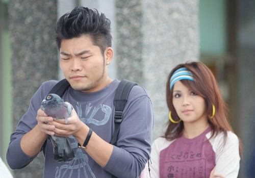  p>《原来我不帅》是台湾民视无线台2008年首播的校园偶像剧,由 a