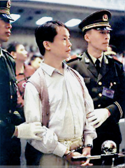 张子强（中国香港犯罪集团首脑）_百度百科