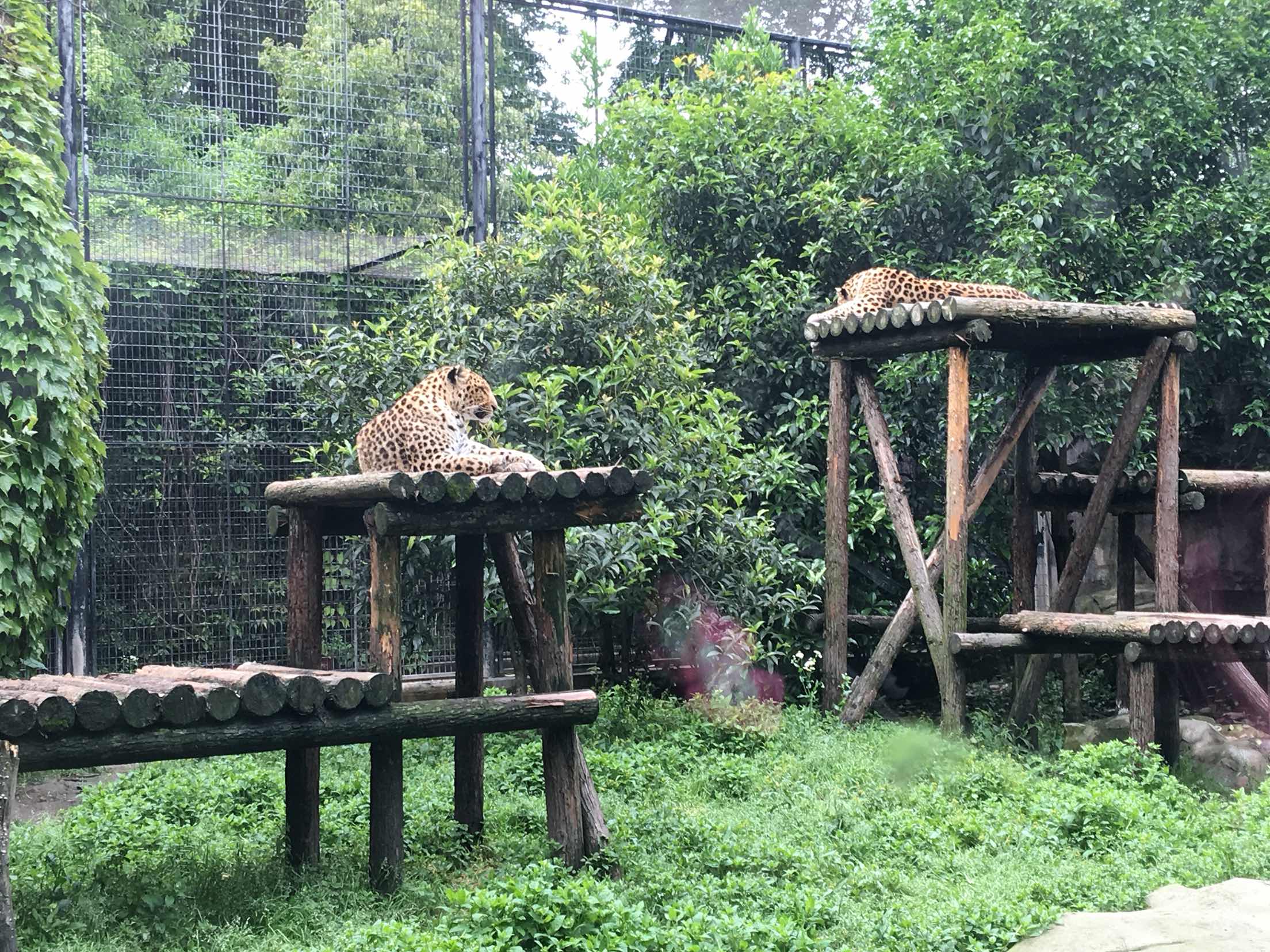 上海动物园
