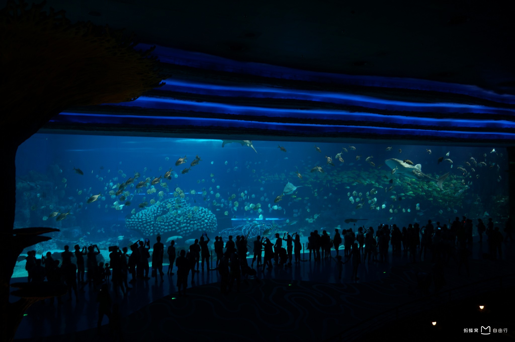 广州海洋馆