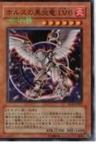 荷露斯的黑炎龙lv8