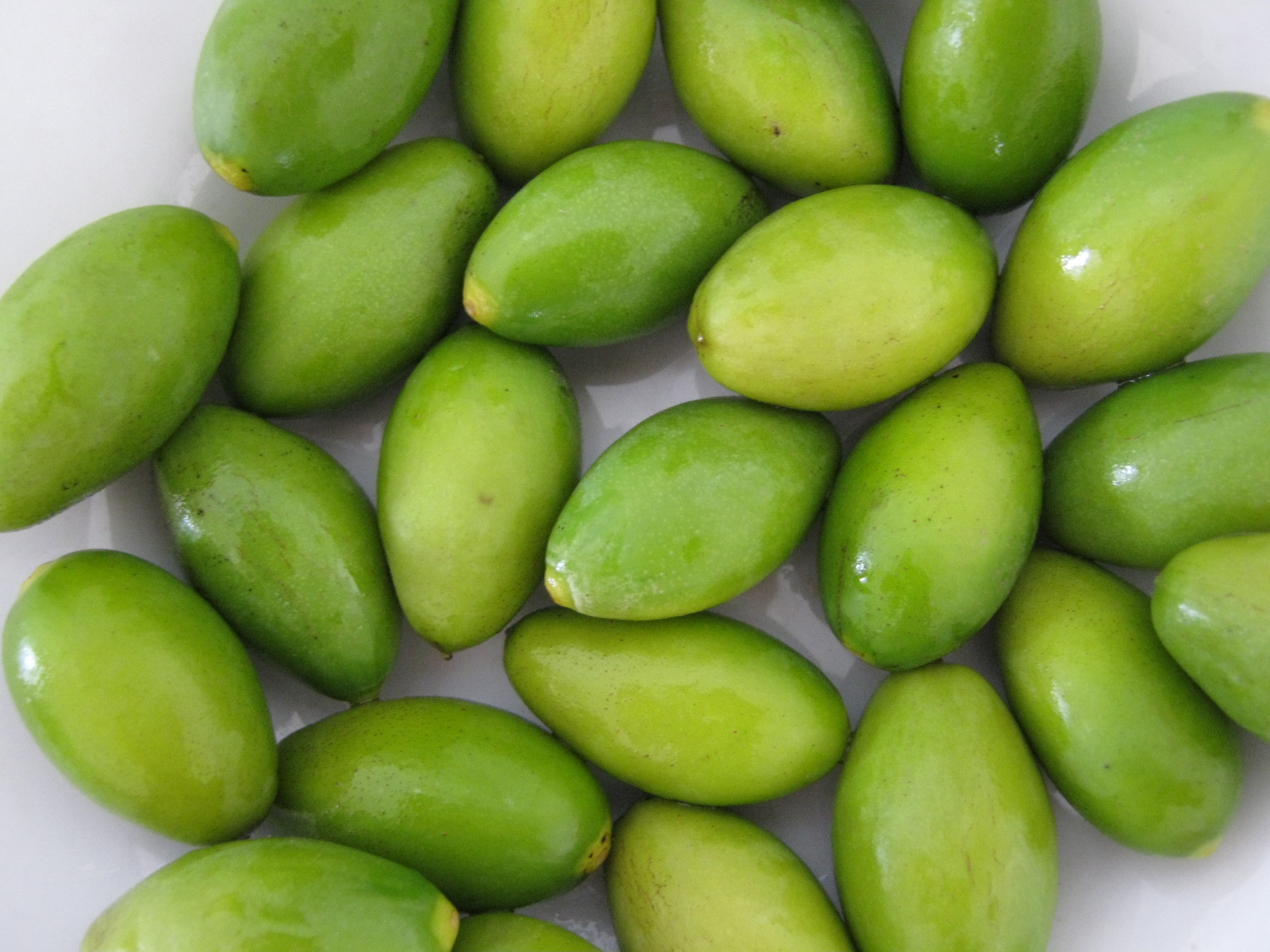  p>青橄榄(chinese white olive)(学名:canarium album raeusch.