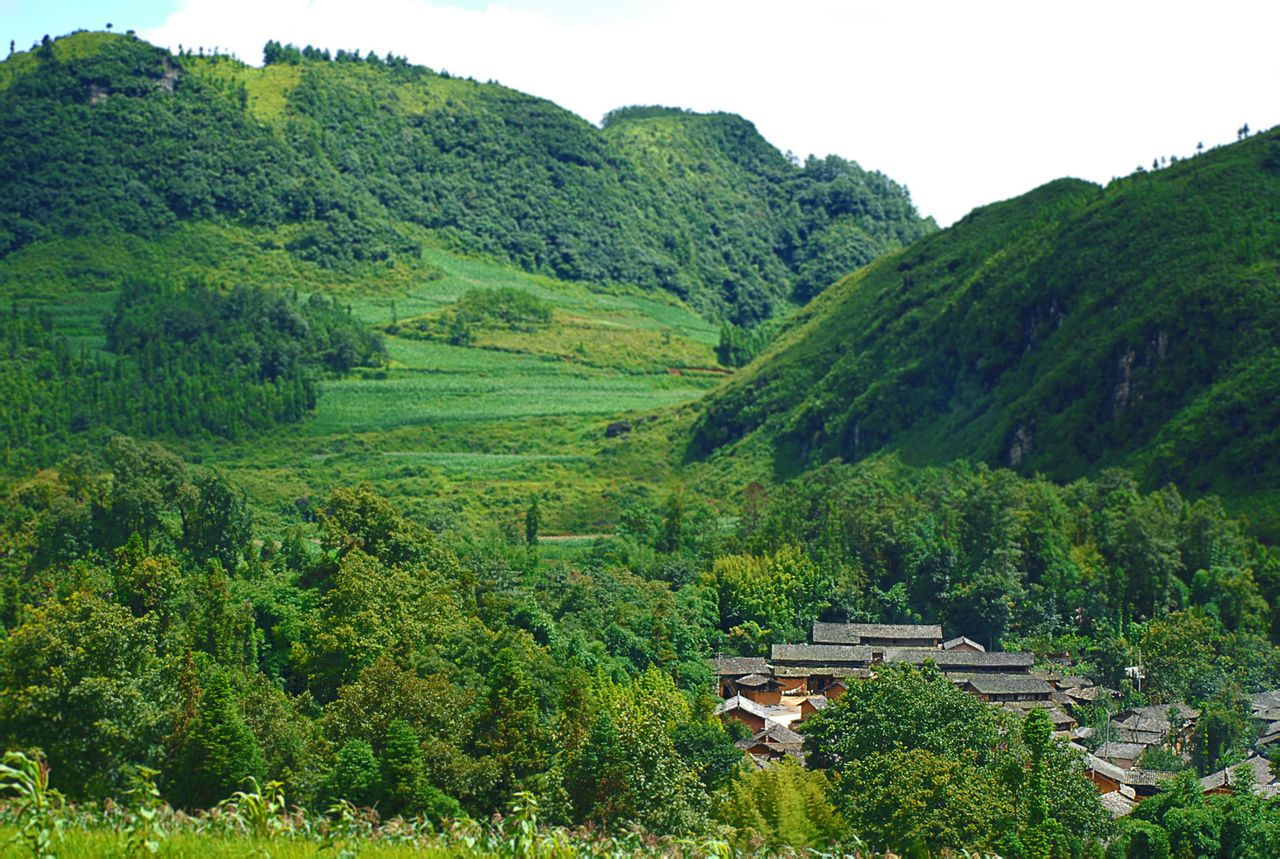  p data-id="gnwzok4s2n">平坝镇,隶属云南省文山壮族苗族自治州 a