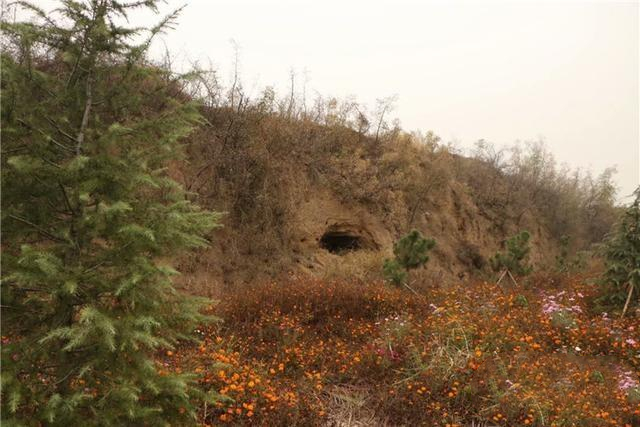 隆尧柏人城遗址