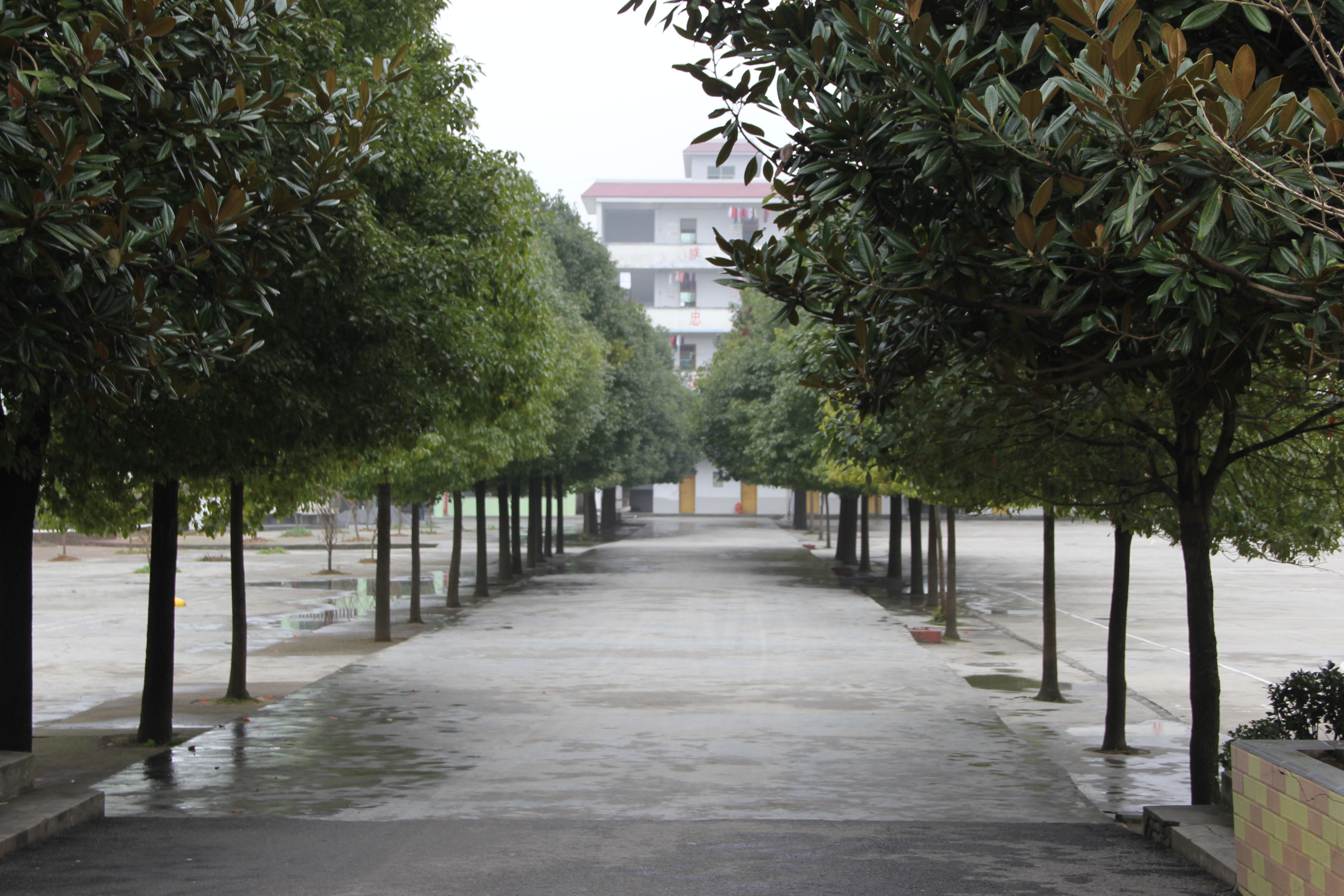 松桃苗族自治县长兴中学