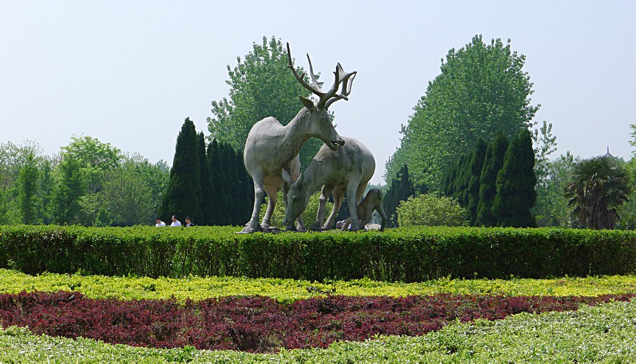 江苏大丰麋鹿国家自然保护区