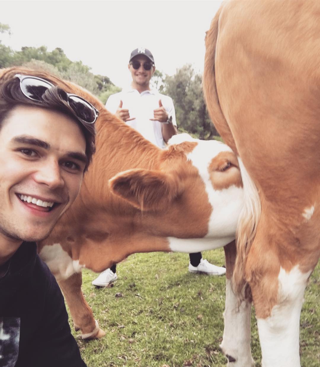 keneti james fitzgerald apa) /i>,1997年6月17日出生于新西兰奥克兰