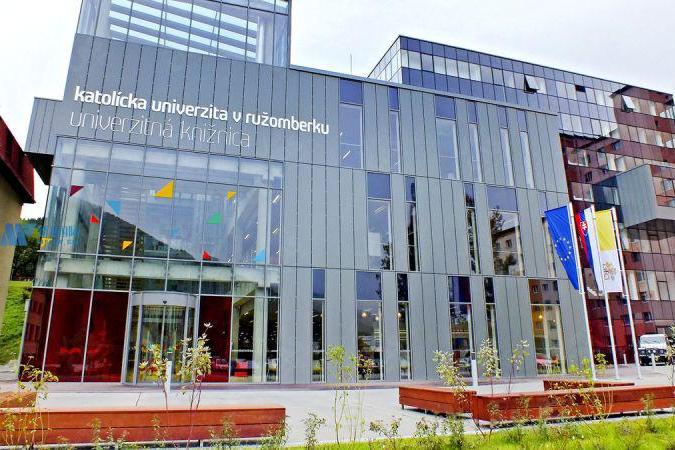 data-id="tgtgl2efsgrj">鲁容贝罗克天主教大学(catholic university