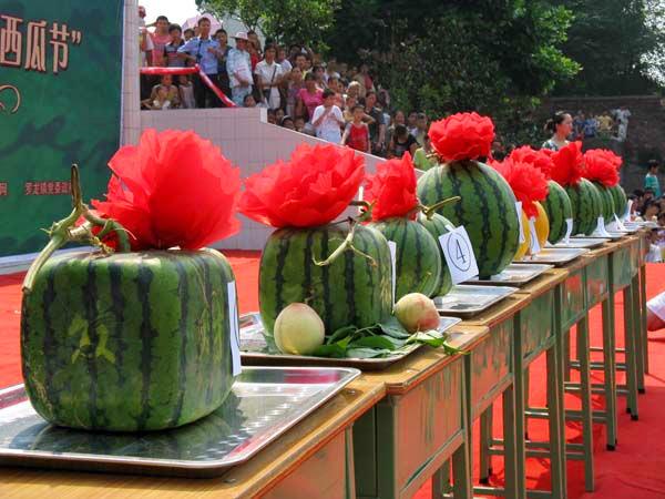西瓜节