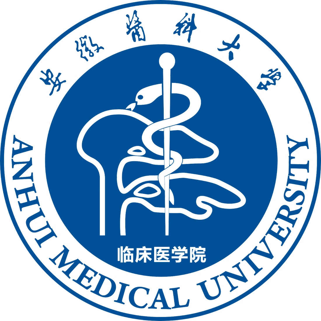 目标地块位于安徽省合肥市(乃中国四大综合性国家科学中心之一),坐落