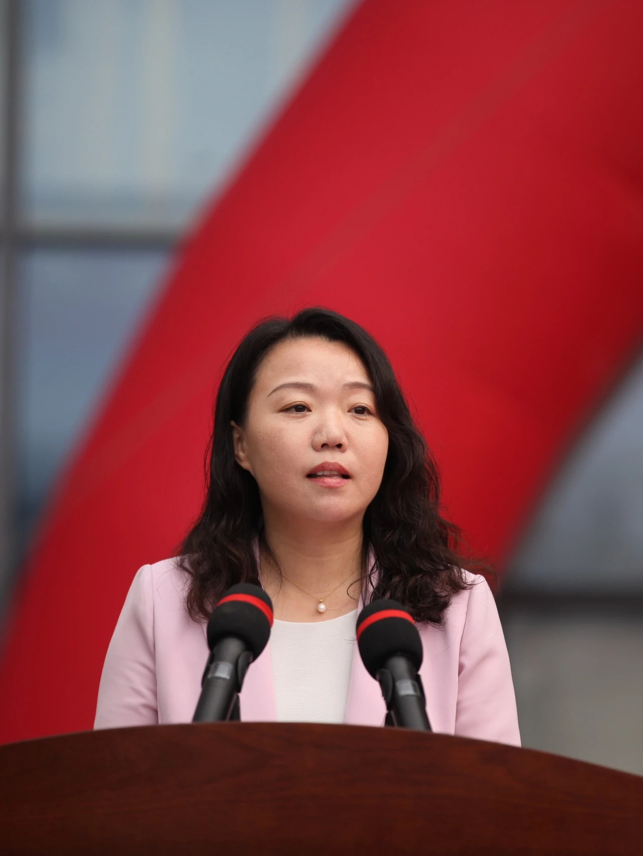  p data-id="txjg3nerz0tj">密云,中国国籍,江苏大丰港经济开发区