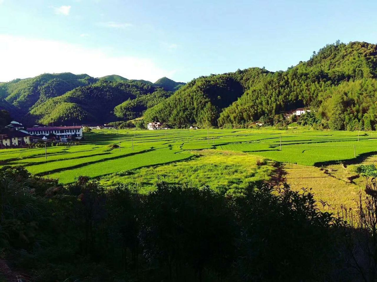 丰州乡_百度百科