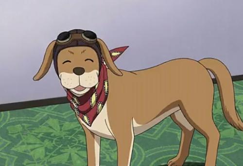 日本漫画《名侦探柯南》及其衍生作品中的狗,铃木次郎吉养的爱犬