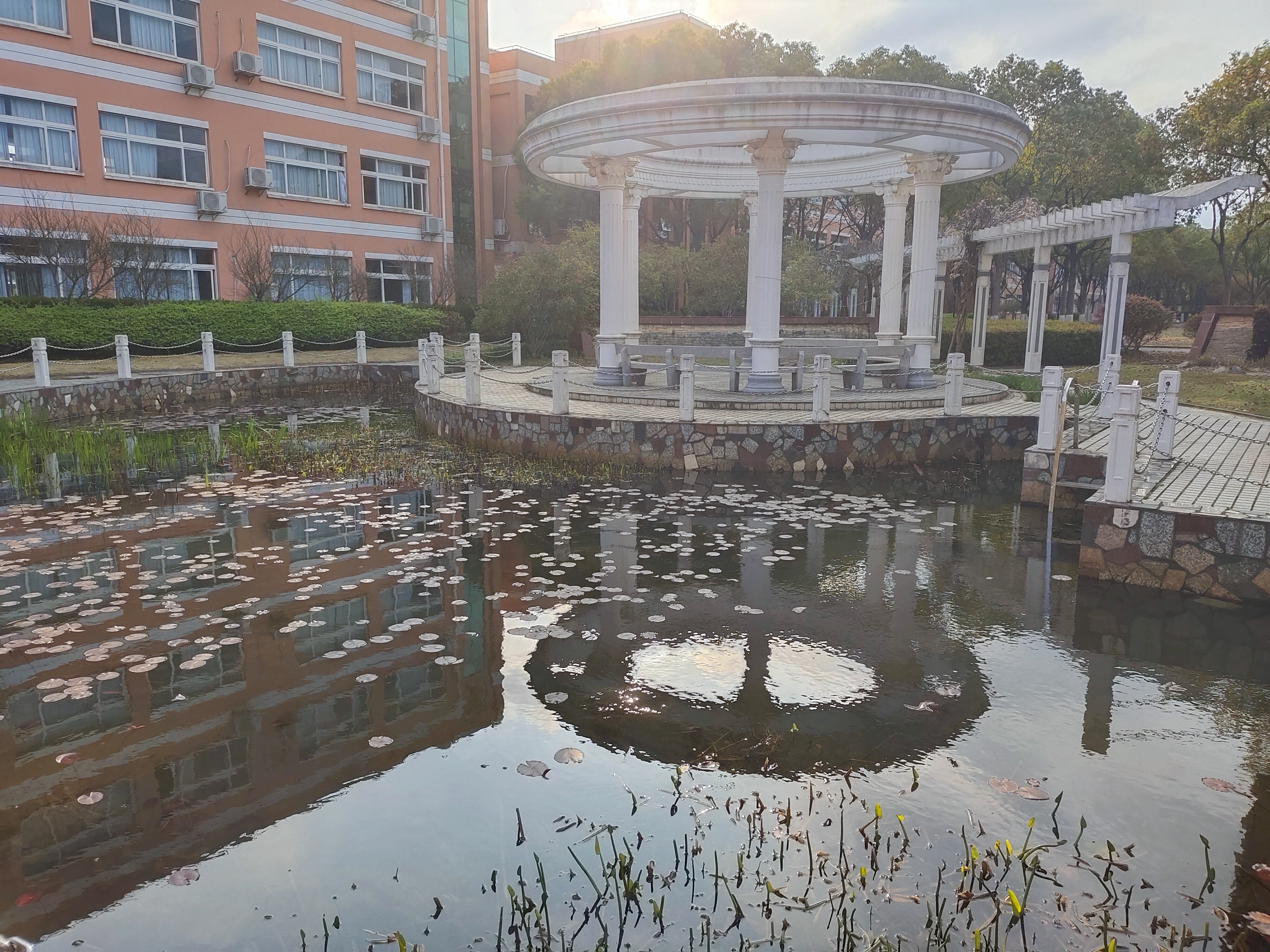 上海南汇区大团高级中学