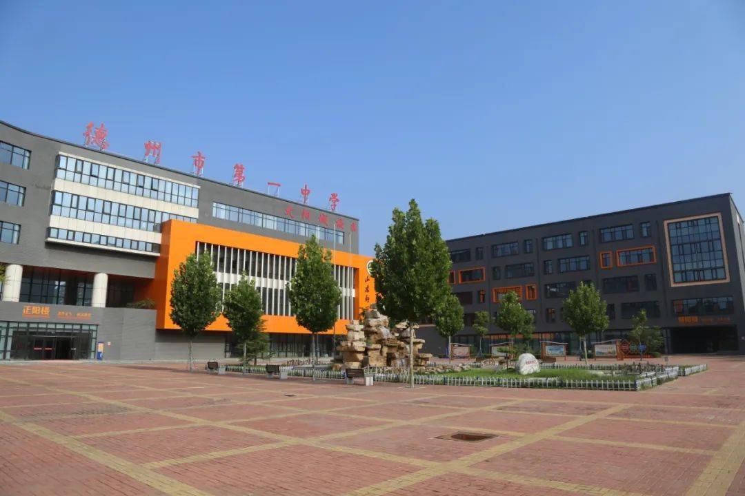 德州一中网站建设 全网资源