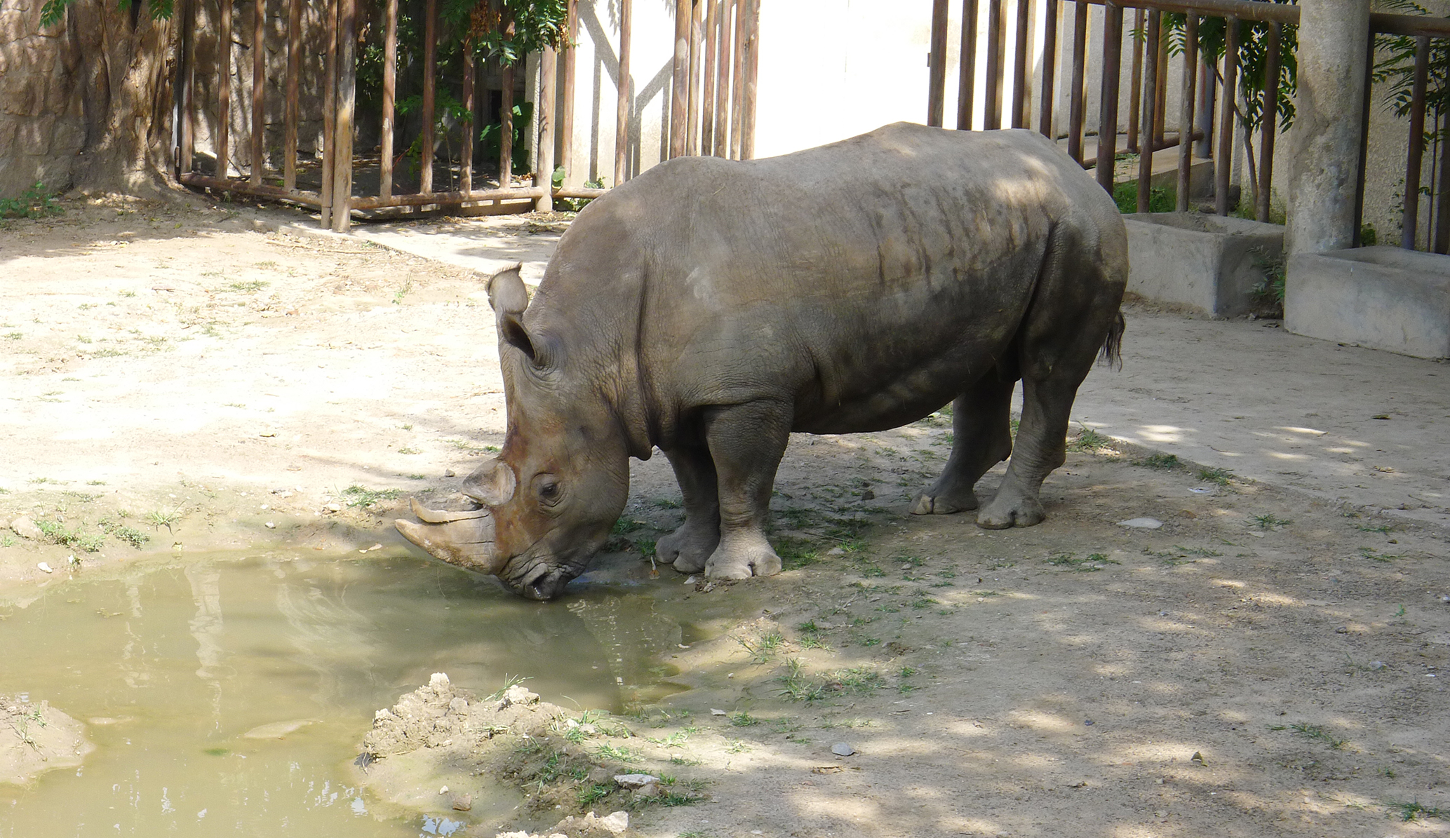 北京动物园两栖爬行动物馆
