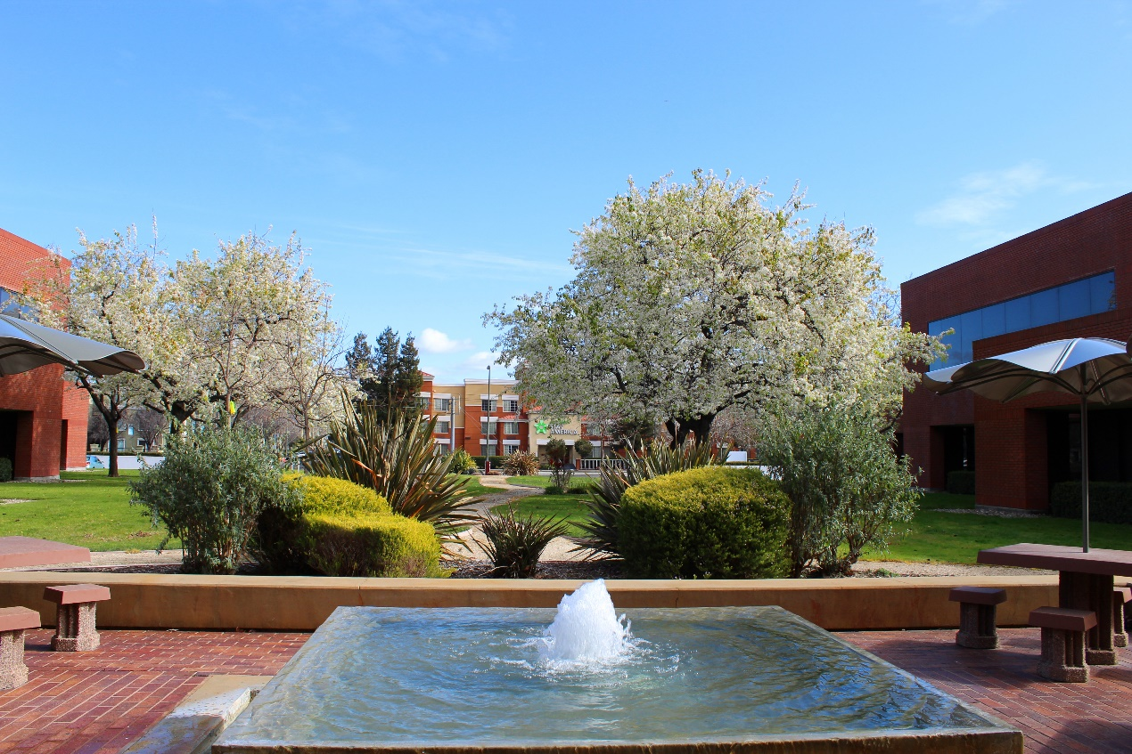 圣何塞大学(university of san jose),简称usj,是美国加州私立研究型