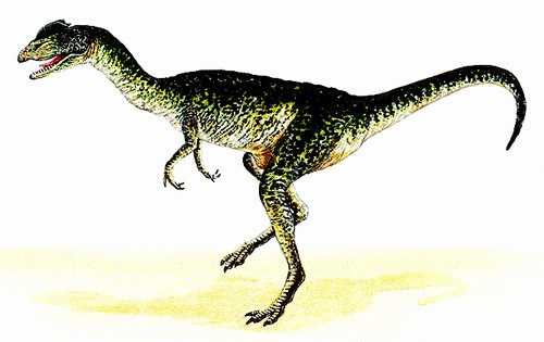  p>属于saurischia 蜥臀目, sauropodomorpha 蜥脚型亚目, sauropoda