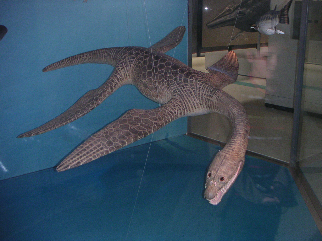 id="183168">菱龙 /a>(rhomaleosaurus)拉丁文的意思是"强壮的蜥蜴"