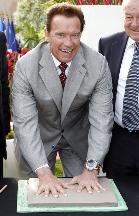 运动员,演员,导演,制片人,加州州长,政治家,拥有美国/奥地利双重国籍