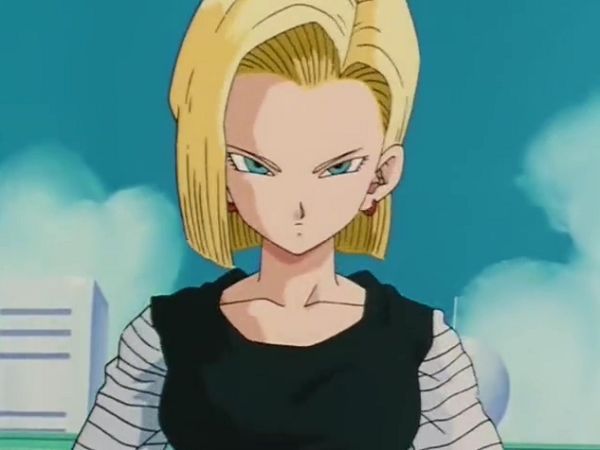 人造人18号
