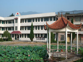 桥头中学