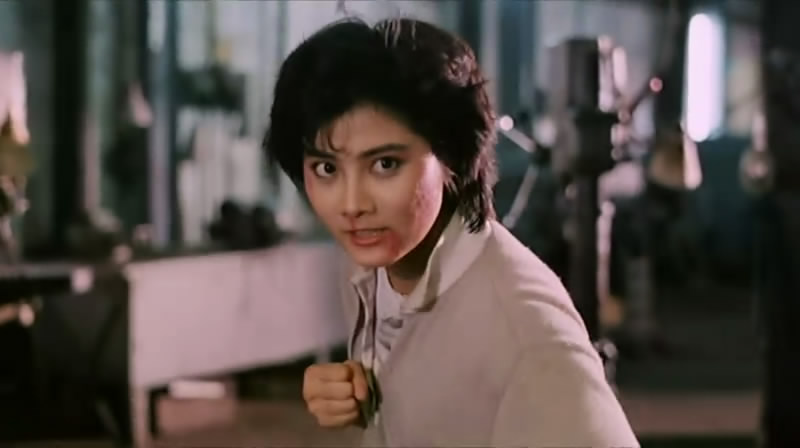 杨丽菁