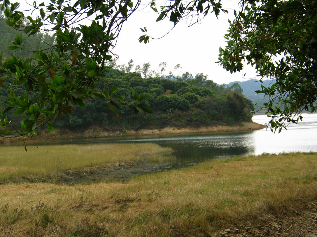 清林径森林公园