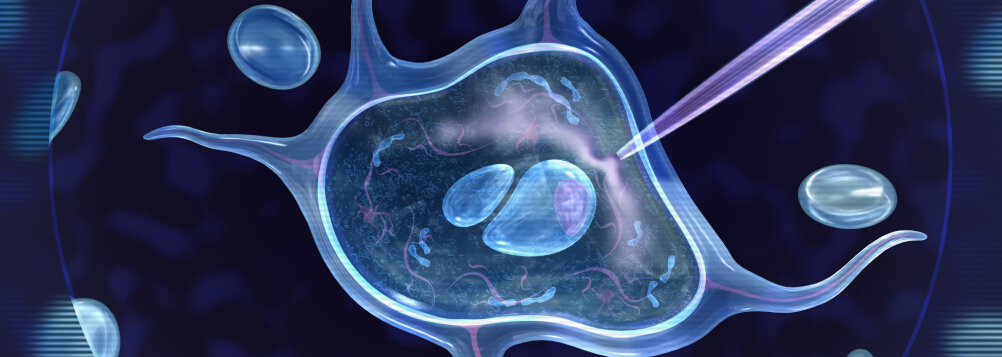 自体干细胞能美容吗(自体干细胞能美容吗女性)