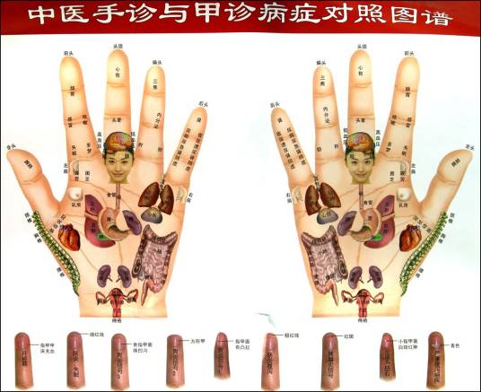 中医手诊_百度百科