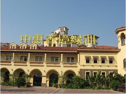 香樟绿洲占地约30万平米,地块形状呈梯形,位于樟木头新行政中心区