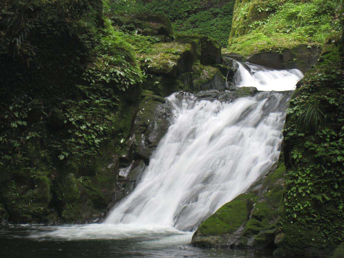  p data-id="gnwsftmy4y">九泷十八滩是位于乐昌市至坪石镇之间的武江