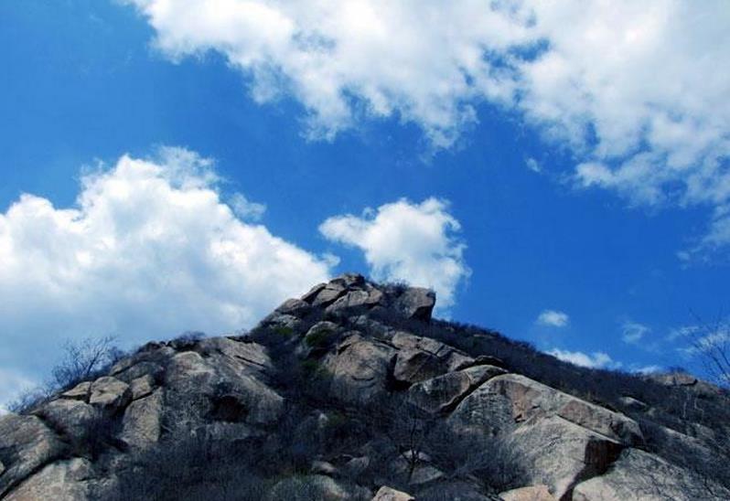 书画山