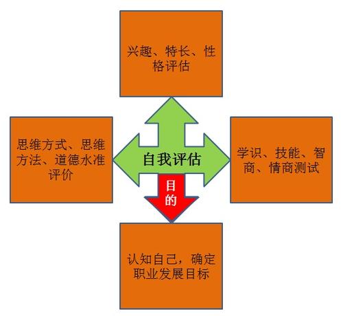 自我职业评估