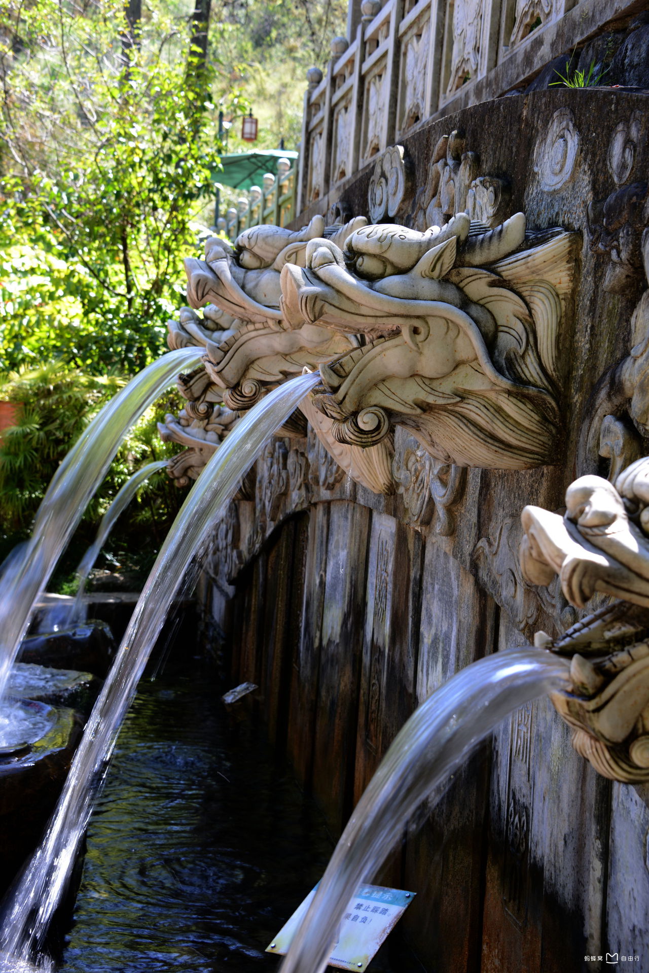 云南大理蝴蝶泉