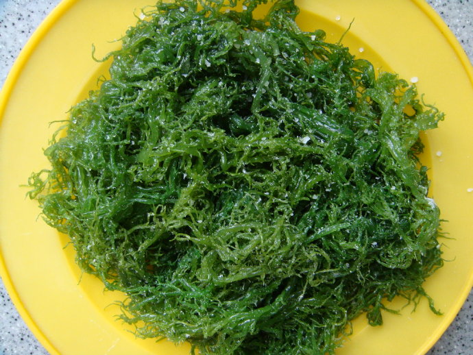 凉拌海藻芽
