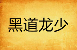 黑道龙少