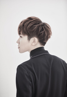 徐良（中国内地男歌手、音乐人）_ …