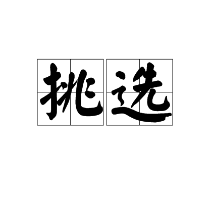 挑选（汉语词语）_百度百科