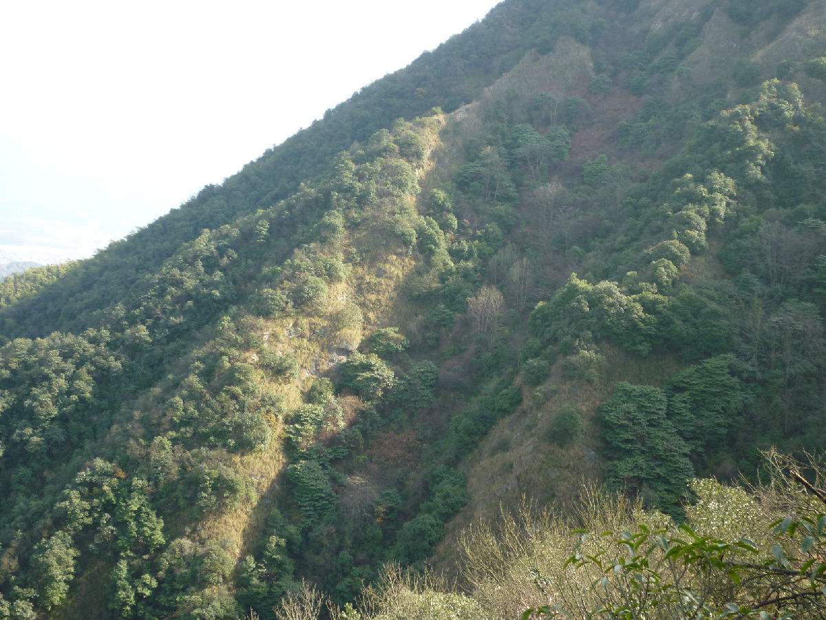 秦望山