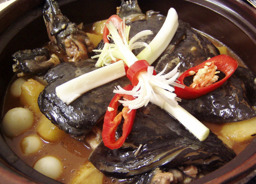  p>鳖(学名: i>pelodiscus sinensis /i>)是鳖科,鳖属动物.