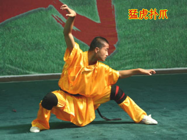  p>虎拳是 a target="_blank" href="/item/福