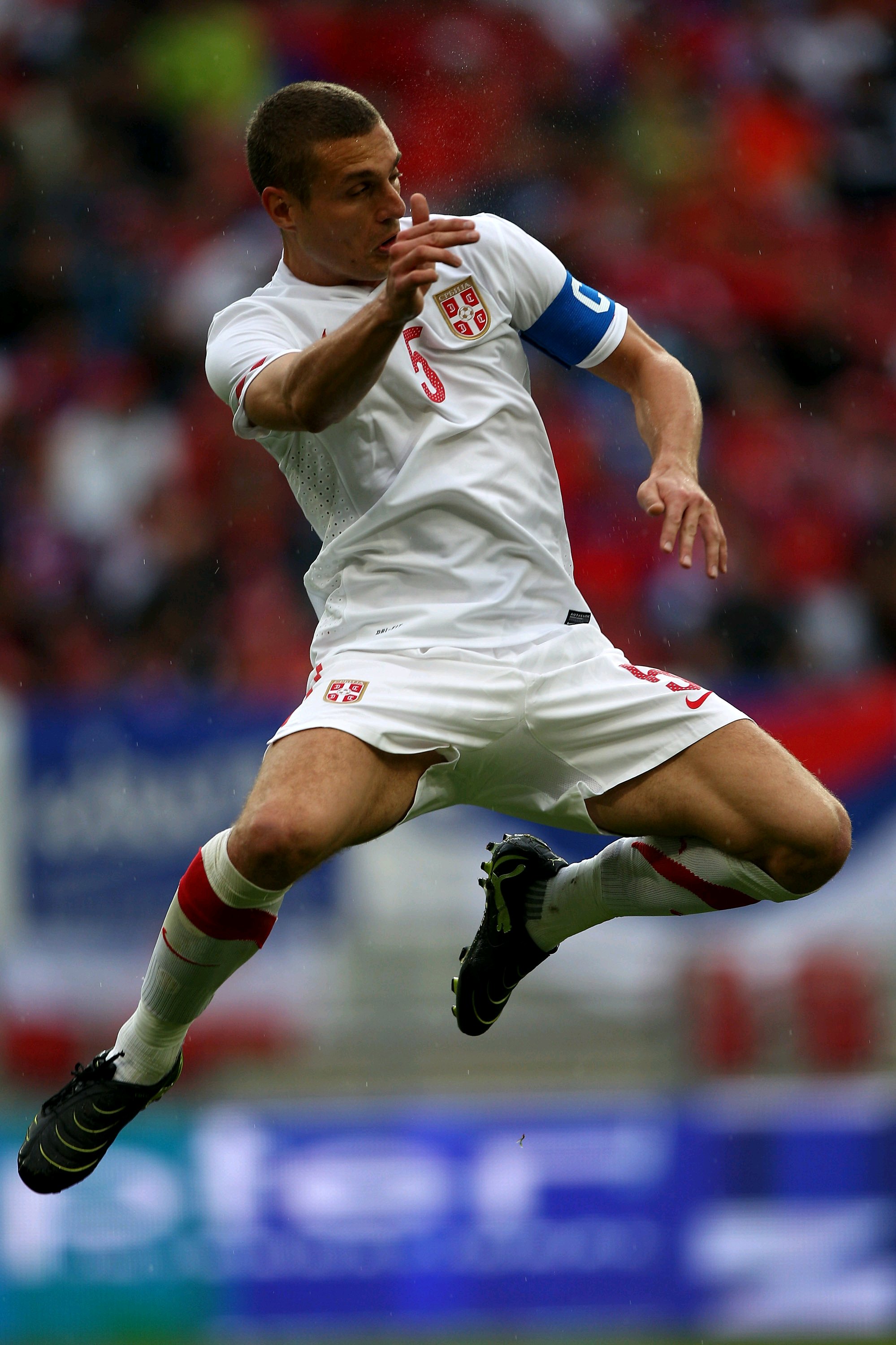 内马尼亚·维迪奇